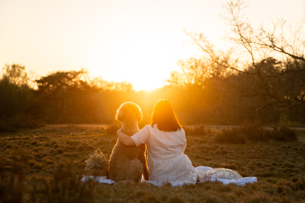meisje met hond bij zonsondergang tijdens het gouden uurtje op de Kesselse Heide gefotografeerd door Digidroom. Afgewerkt beeld