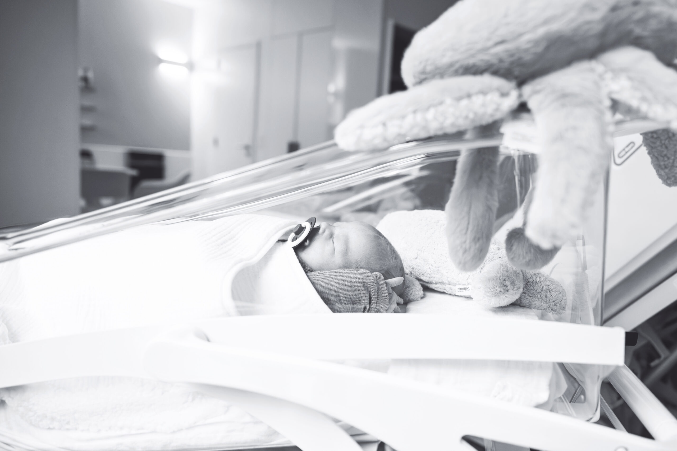 pasgeboren baby gefotgrafeerd op de materniteit binnen de 48u na de geboorte tijdens een fresh48